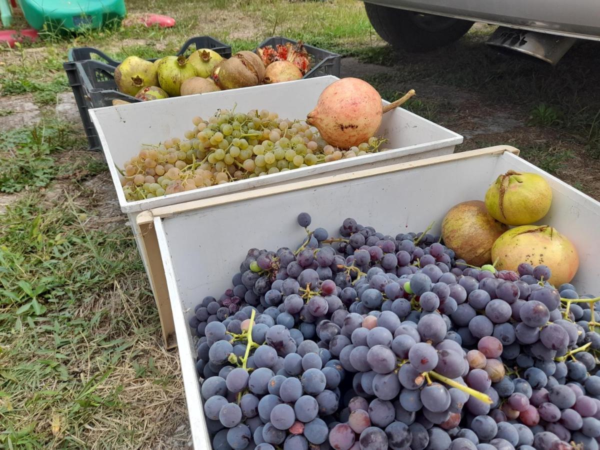 Chateau Sukaj Ljaknasi 외부 사진