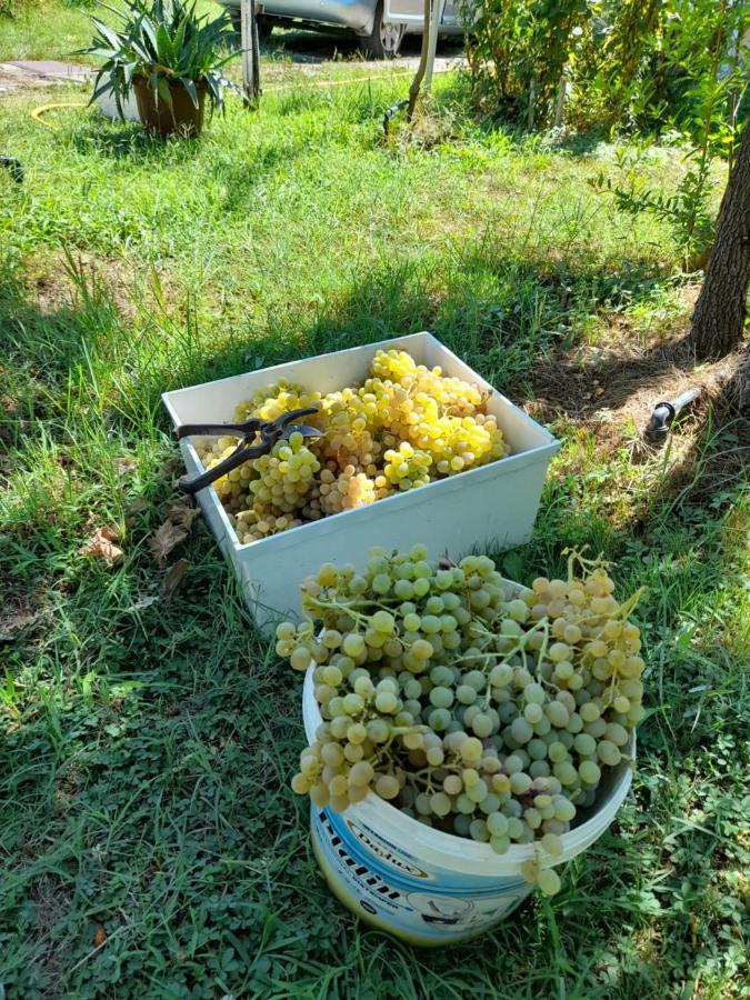 Chateau Sukaj Ljaknasi 외부 사진